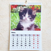 Перекидной 15Х21 13-страничный